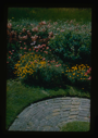 Image of Garden and brick path at MacMillan home