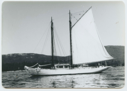 Image of Schooner Bowdoin, one sail up