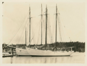 Image of A schooner docked; Bowdoin along side