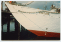 Image of Schooner Bowdoin's bow at dock