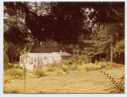 Image of Garden and greenhouse
