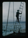 Image of Donald MacMillan climbing rigging of the Bowdoin, in ice pack