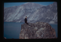Image of Donald MacMillan sitting on rock formation (2 copies)