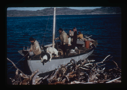 Image of Inuit family aboard small sail boat.Pile of driftwood in foreground