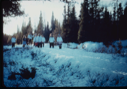 Image of Inuit women and children walking through snowy woods