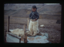 Image of Young Polar Eskimo [Inughuit] Boy, Etah, North Greenland