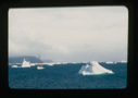 Image of The Bowdoin among small icebergs
