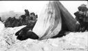 Image of [Men and loaded sledges by tupik. Inuit feeding musk-ox calf]