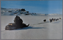 Image of Kommetik and Dogs approaching Tikkeratsuk, Moravian Missions, Labrador