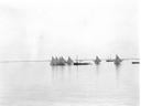 Image of Sailboat race