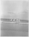 Image of 4 women wading
