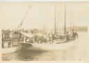 Image of The Bowdoin met by a crowd on return from Baffin Land