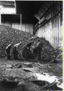 Image of Men at the coal shed