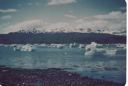 Image of Small icebergs, mountain beyond