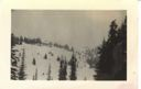 Image of Snow on Polk Mountain