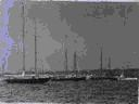 Image of Schooners and other boats in harbor