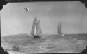 Image of Newfoundland fishing schooner and the BOWDOIN