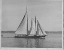 Image of The BLUE DOLPHIN under sail