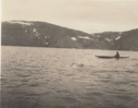 Image of Bear at Etah in water [Kayaker watching swimming bear]