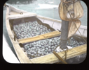 Image of Boat load of eider duck eggs, Eider Duck Island