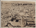 Image of Old fox stone trap