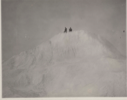 Image of Captains Comer and Pickels on top of iceberg off Crimson Cliffs