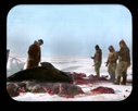 Image of Donald MacMillan and three Inuit men cutting up walrus