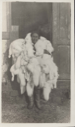 Image of Inuit woman carrying many fox skins