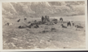 Image of Dogs, men, sledge, supplies
