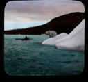 Image of Bear at Etah on berg [Polar bear on iceberg at Etah, Kayaker with float near]