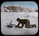 Image of Eskimo [Inuk] (Samik?) crawling behind kometaho