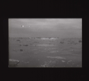 Image of Icebergs and floes   [b&w]