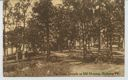 Image of The picnic grounds on Mills Mountain
