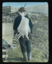 Image of Man carrying arctic hare slung over his rifle 