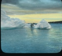 Image of Polar bear climbing onto iceberg 
