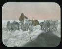 Image of Dogs in front of sledge. A second sledge and driver immediately ahead
