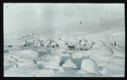 Image of Many snow igloos. Dogs and children scattered about