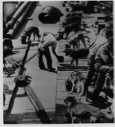 Image of Feeding the Byrd Expedition dogs, aboard