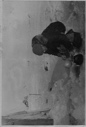 Image of Man dipping water into a teakettle. Soviet polar Expedition ...