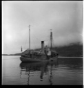 Image of Whaling steamer