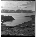 Image of Greenland landscape