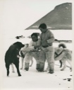 Image of Two Inuit boys with dog team [Peter Duneq and unidentified boy]