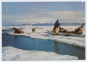 Image of Sledge, dogs, kayak, man on ice pan (postcard)