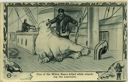 Image of Bear killed while attacking explorers