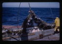 Image of Net being pulled onto ship.