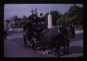 Image of Two horses pulling a funeral carriage