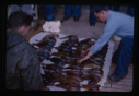 Image of Man looking at fish laid out on ship deck