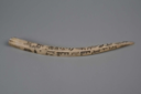 Image of Engraved Walrus Tusk