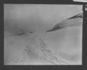 Image of Snowshoe tracks across snow field