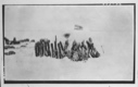 Image of MacMillan's snow house. Tenderloins and hind legs of musk-ox